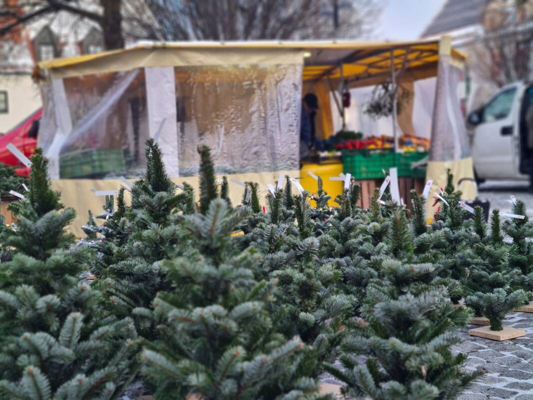 Bobinger Wochenmarkt